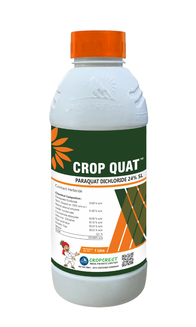 CROP QUAT
